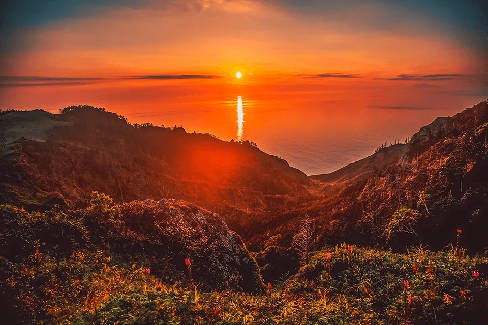 Робинзонада — дикие бухты Шикотана