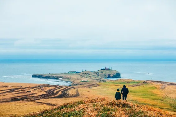 Сколько стоит поездка на Сахалин в 2026 году