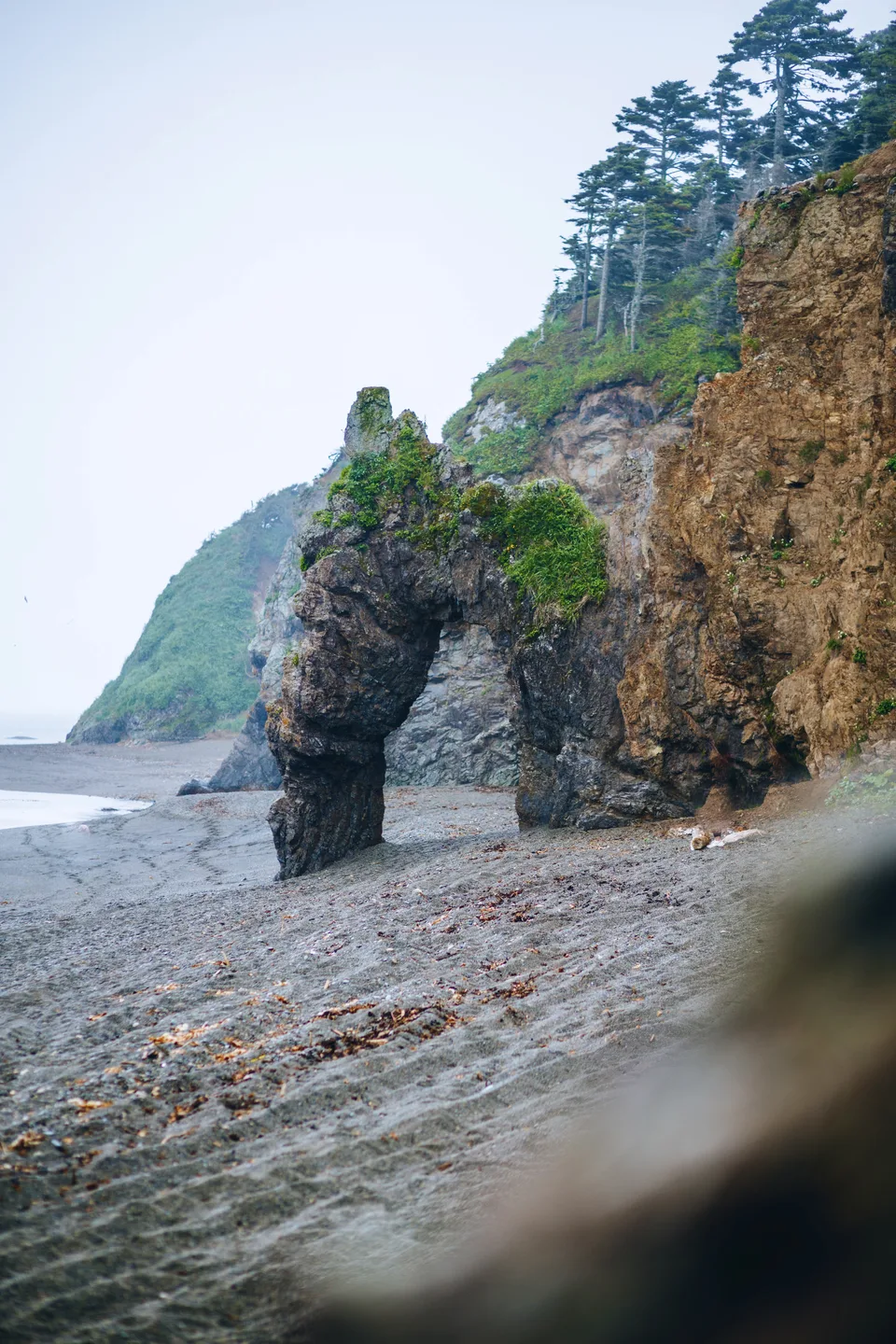 Тур на мыс Великан и Птичий