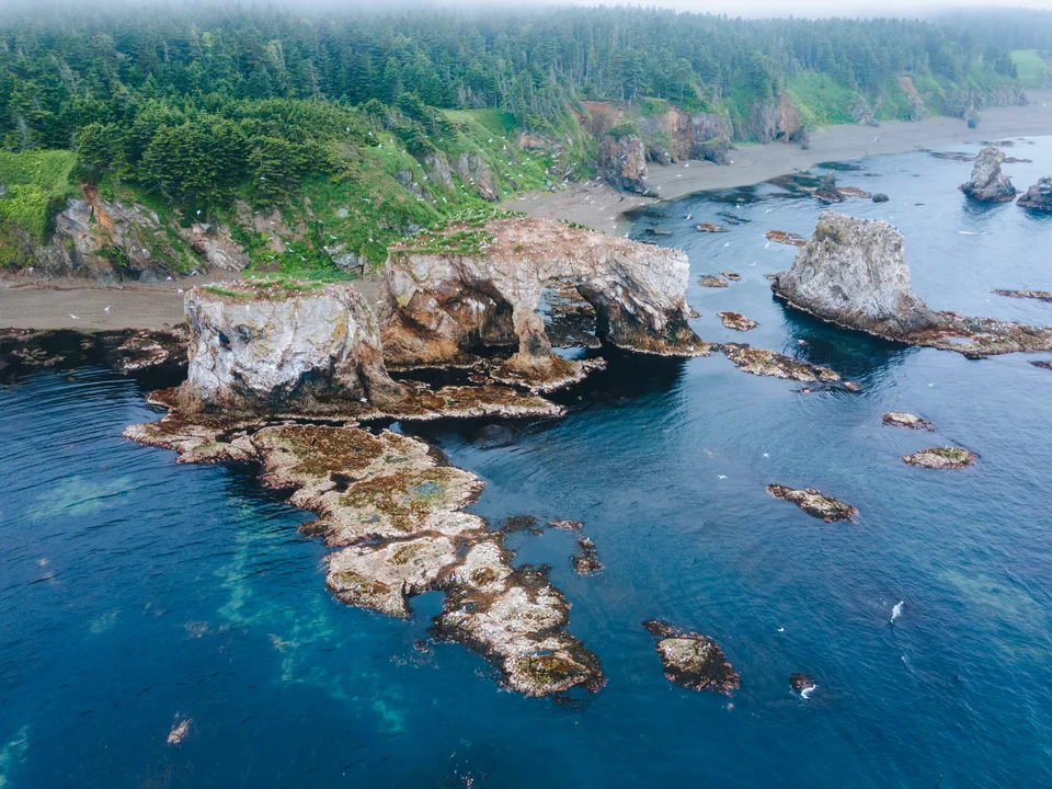 Экскурсии мыс Птичий и Великан, Сахалин