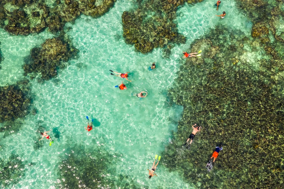 Дайвинг в кристально чистом море Фукуока